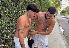 machucado pau grosso