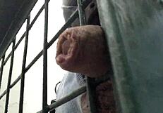 ohhhh, can you handle that tight gate like this?