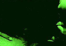 Тъмна Фенер: Греховете на мащехите в старо еротично изповед