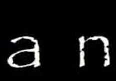 Hey, wanna know my fubá cake recipe or see wild anal?