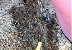 My Wife Pees Long and Hard on the Beach