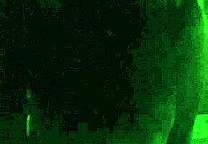 why does this slut wife cheat on her boyfriend?