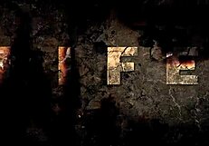 vintage erotic drawings collection