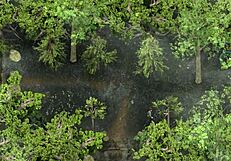 Complete Gameplay Of Lust Epidemic Part 15