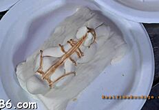 the gal endures a ferocious whipping in this bdsm scene