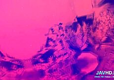 Just banging a Japanese chick in sexy stockings, vol 50.