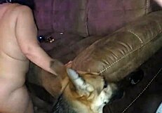 subtle blowjob on the sofa hints at rimjob and intense sex