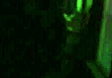 Ebony Babe Sucks Balls In Outdoor Blowjob!