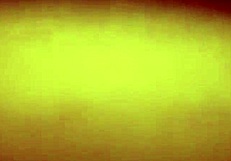 Homemade sextape with blowjob and toys