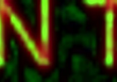 Entering Circus Babys Nightclub With Thick Animatronics