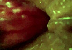 hard fuck with ass licking and creampie