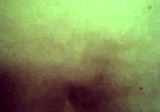 The wife eagerly performs mouth to ass to mouth