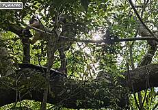 i just use my kindness to get help in tough spots