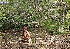 i just use my kindness to get help in tough spots