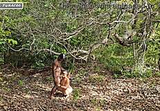 i just use my kindness to get help in tough spots