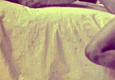 dark lantern presents dickie back