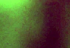 My pussy cums on camera with intense orgasm