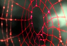 I watch saimin episode 1 hentai