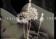 i'm haunted by the forbidden desires in these vintage stepmother confessions