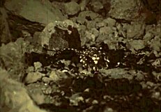 Vintage Halloween Pussy Scenes