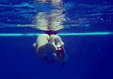 kittina ivory strips down in the public swimming pool