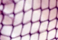 I enjoyed this foot fetish session with juanlatino fucking deliciously and cumming on basque feet