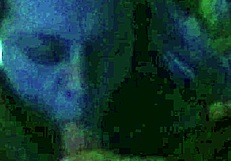 amateur blowjob turns into deepthroat session