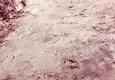 i cum again in front of everyone with big ass and cock close up