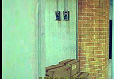 Here We Go With Harem Magic And Monsters!