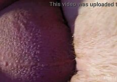 Having fun with pail pussy fuck and ass play, starting foreplay in doggystyle bent over.