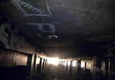 belle the skinny slut gets lucky sucking and fucking cock