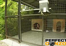 All internal gorgeous shalina has tight fucked pussy just loaded.