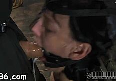 Gal receives a neck collar and legs widen wide open