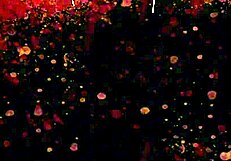 x roulette ends with blowjob