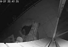 Real cheating wife and friend fuck in hotel on balcony taboo sex