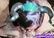 BBW Sucks Cock For Cum