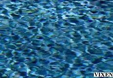 Vixen Lives Out Fantasy with Muff Diving