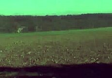 ulla wiggles her ass as cocks slide in for blowbang and bukkake cumshot