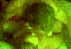 Mature BBW Delivers Intense Fuck and Blowjob!