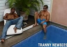 Beautiful shemale action in a hot threesome