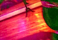 AngelG and Kuzz Halloween Special Part 2 Rocks Hard!