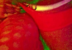 AngelG and Kuzz Halloween Special Part 2 Rocks Hard!