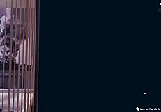 anime 3d dogs in doggystyle bent over scene