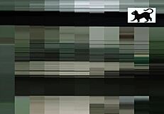 i saw the vecina in action