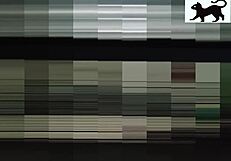 i saw the vecina in action