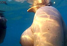 Man, that public beach water fuck with underwater blowjob was wild