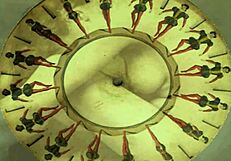 Beautiful erotic illustrations from the past