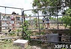 Watch these sluts tease his cock until he fucks their tight pussies!