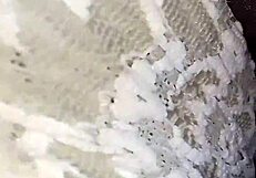 DRILLING WITH PANT ON