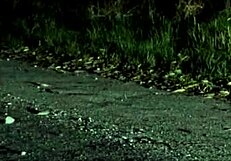 Sexy striptease leads to intense outdoor sex in nature